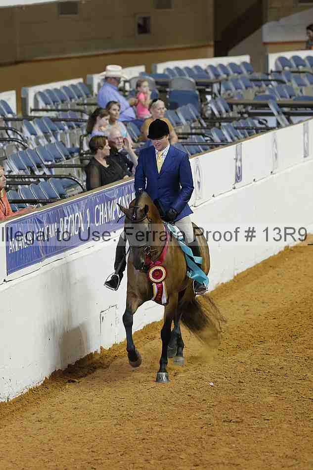 Proof 13r9_2599