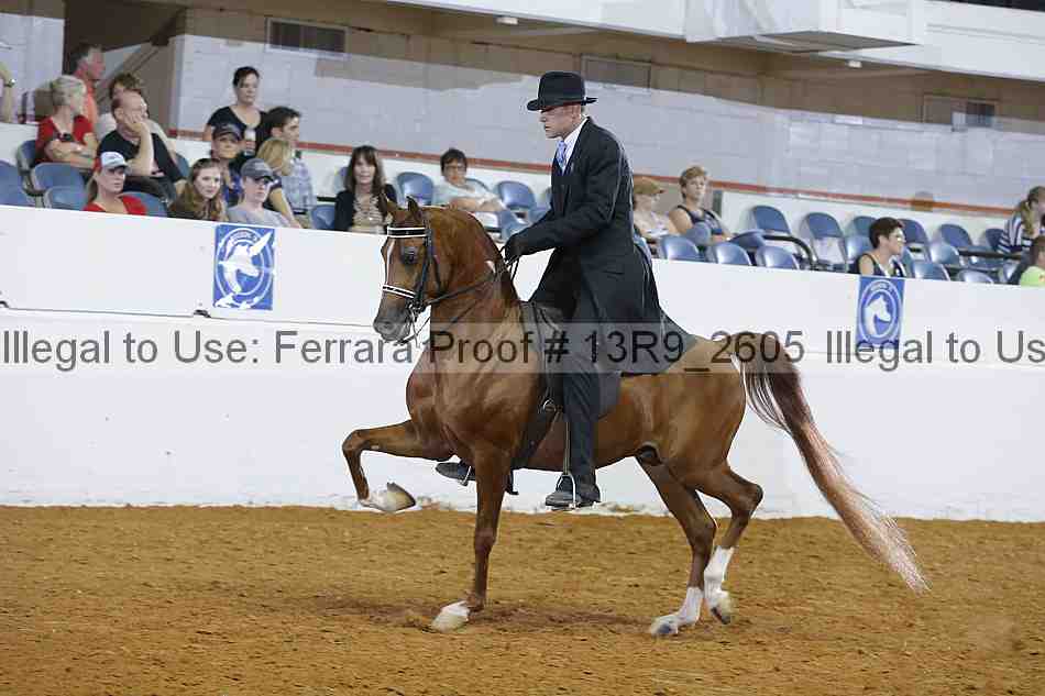Proof 13r9_2605