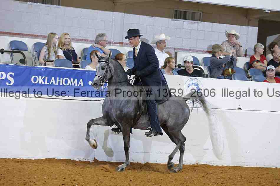 Proof 13r9_2606