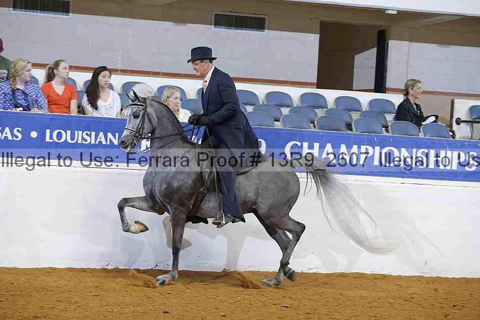 Proof 13r9_2607