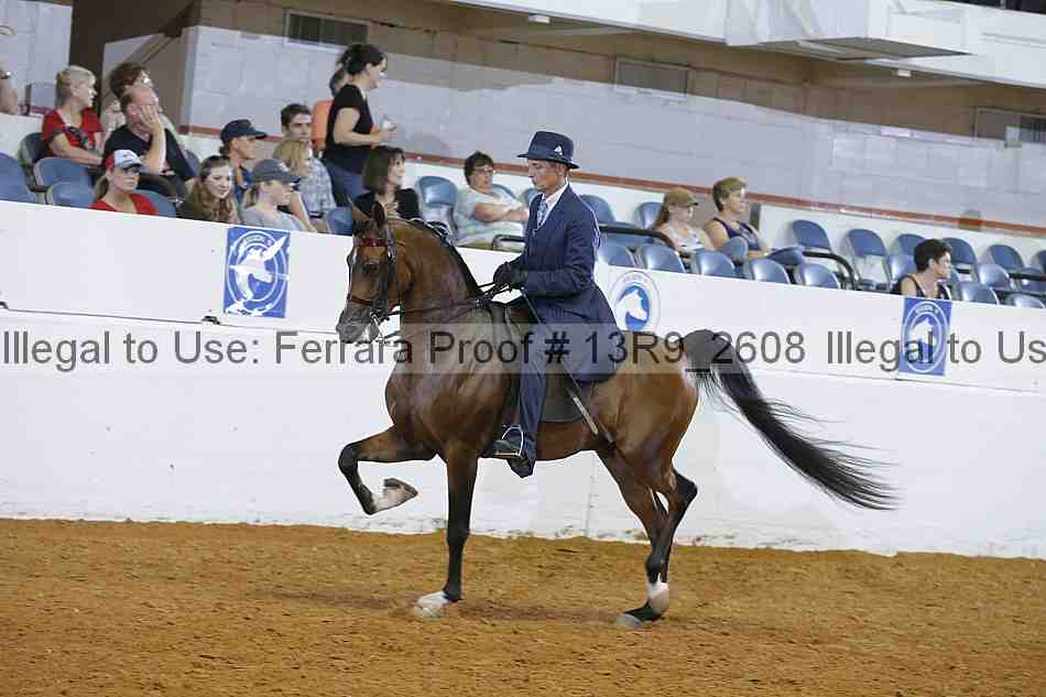 Proof 13r9_2608