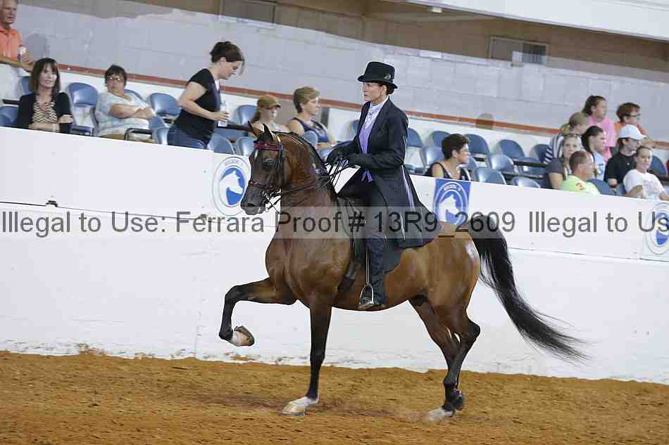 Proof 13r9_2609