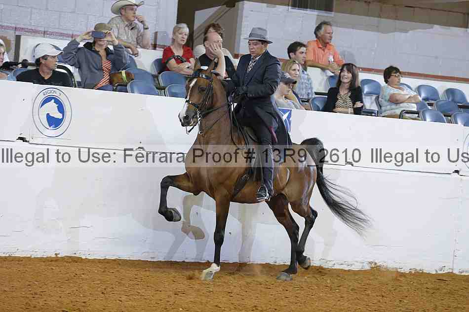 Proof 13r9_2610