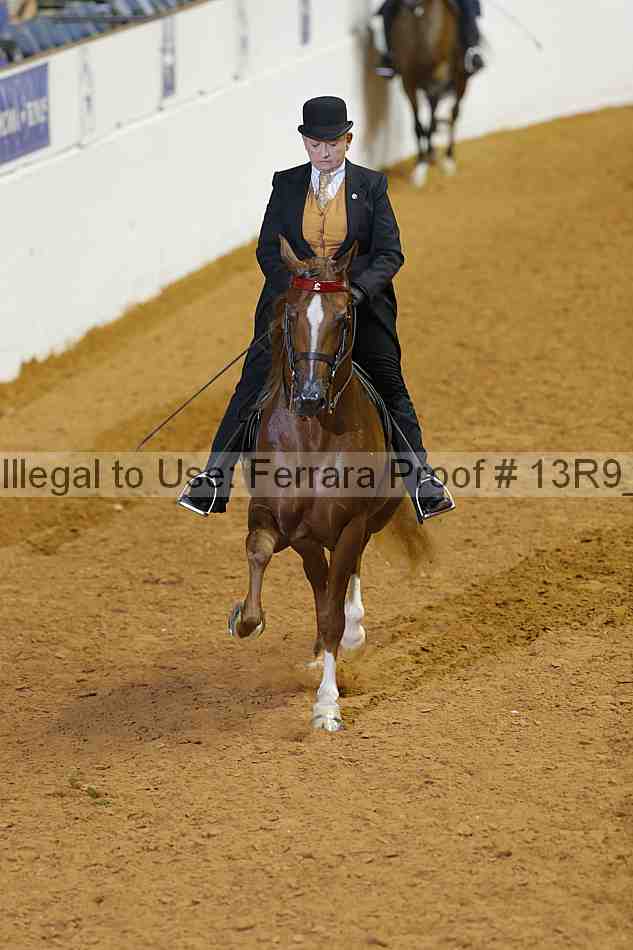 Proof 13r9_2613