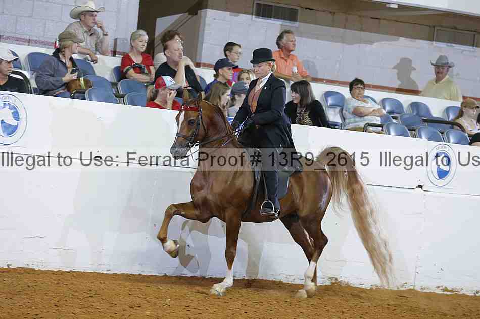 Proof 13r9_2615