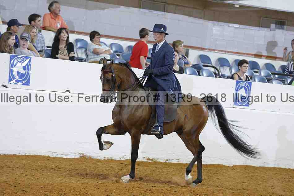 Proof 13r9_2618