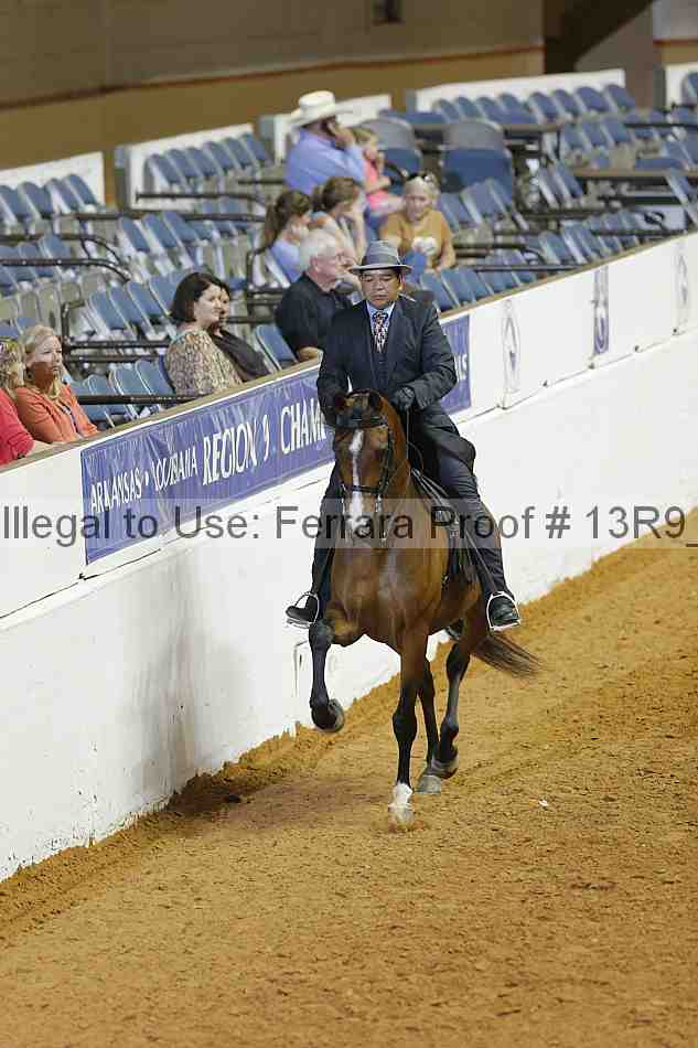 Proof 13r9_2619