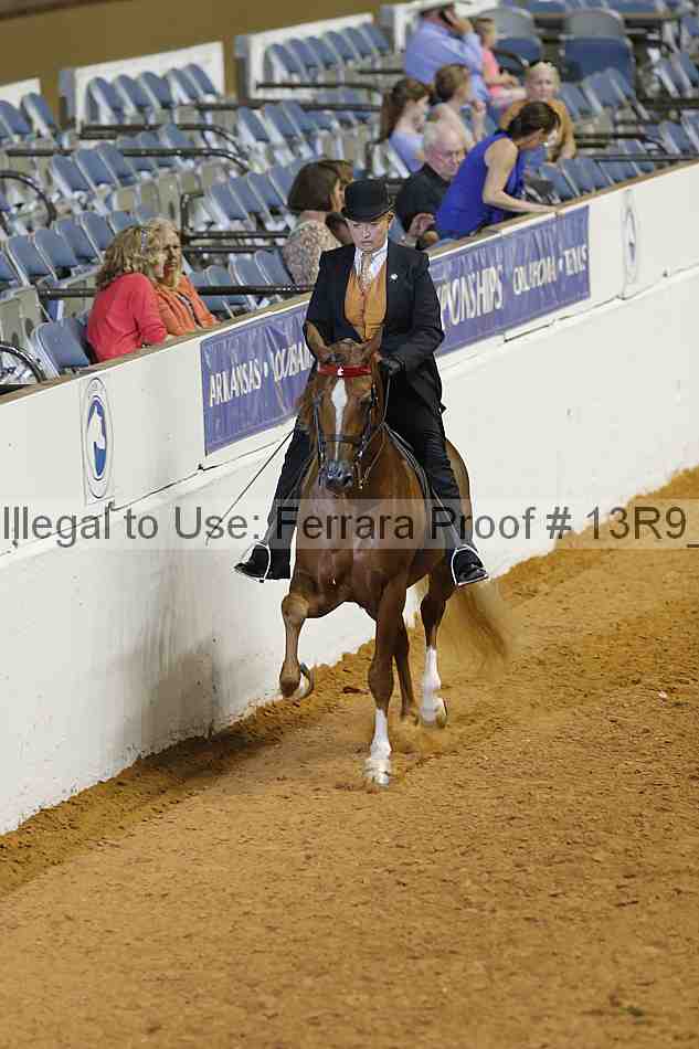 Proof 13r9_2623