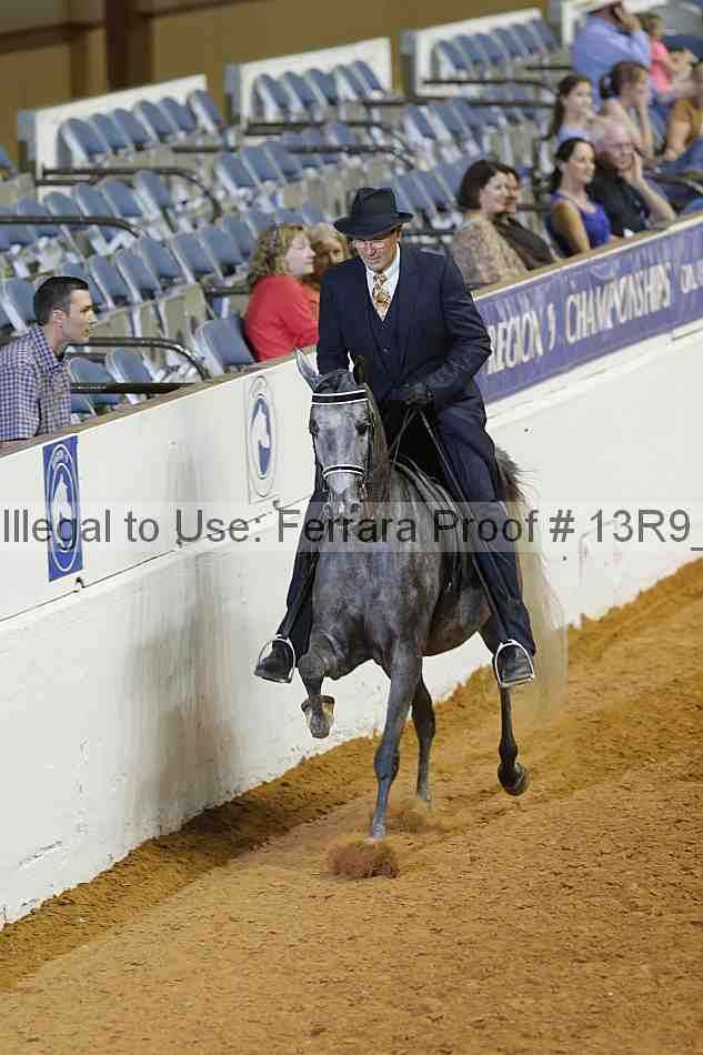 Proof 13r9_2625