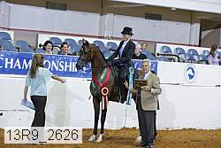 13r9_2626 proof