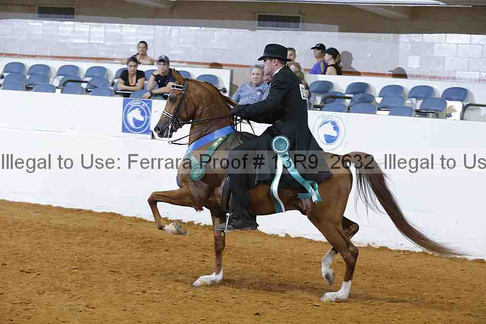 Proof 13r9_2632