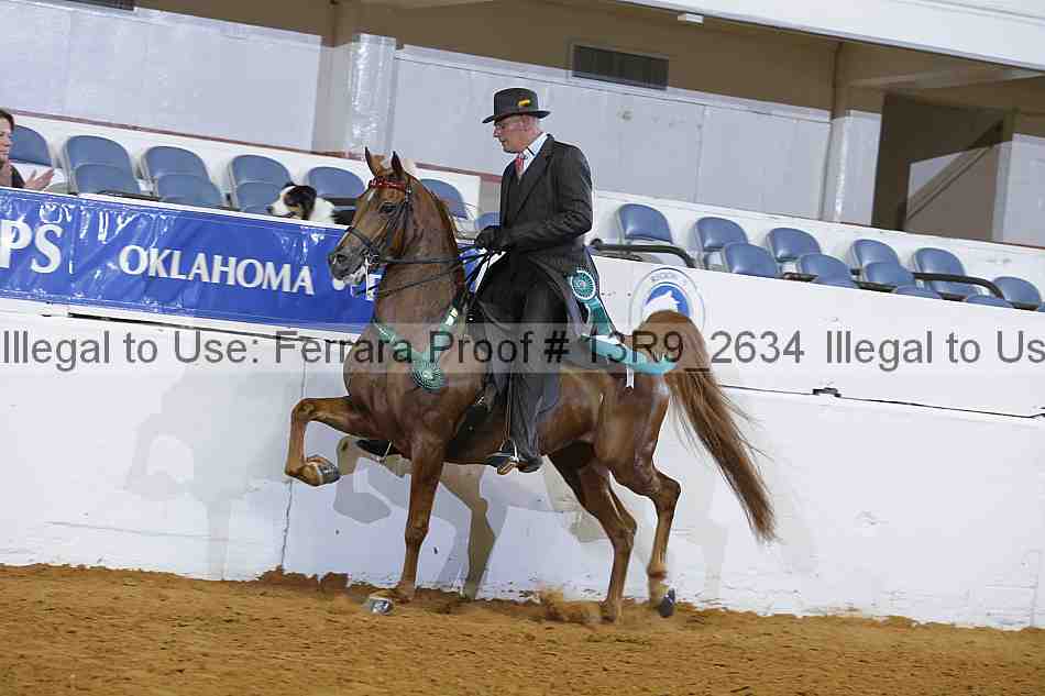 Proof 13r9_2634