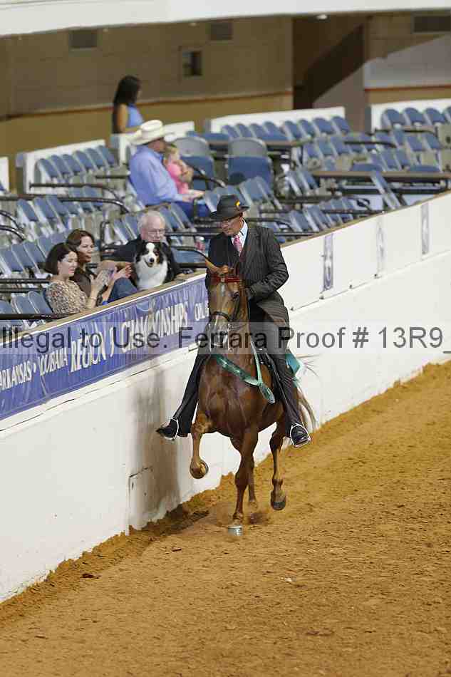 Proof 13r9_2635