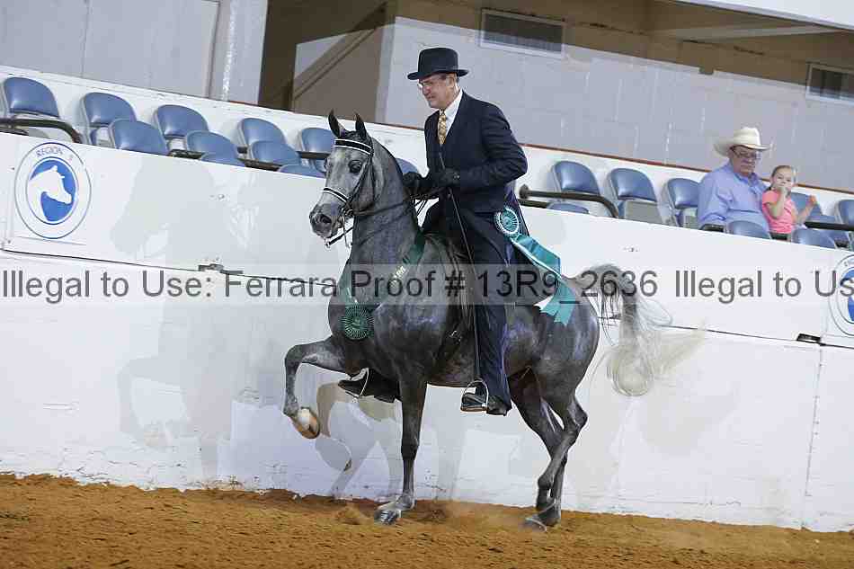 Proof 13r9_2636