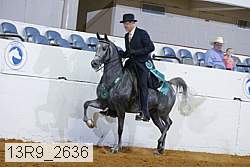 13r9_2636 proof
