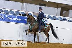 13r9_2637 proof