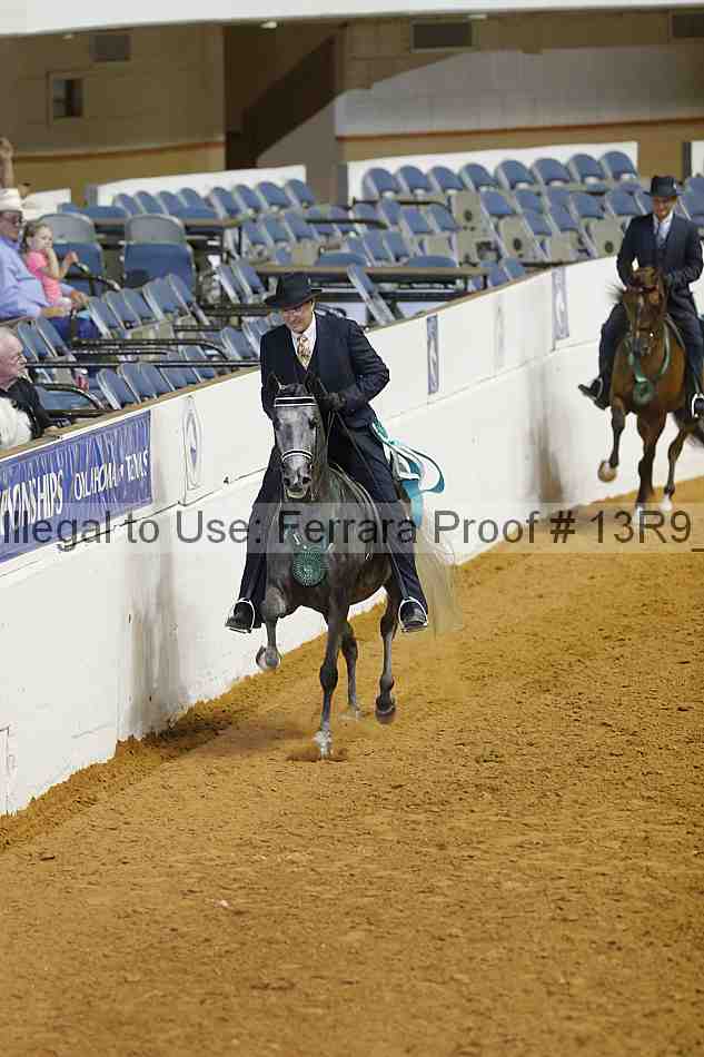 Proof 13r9_2639