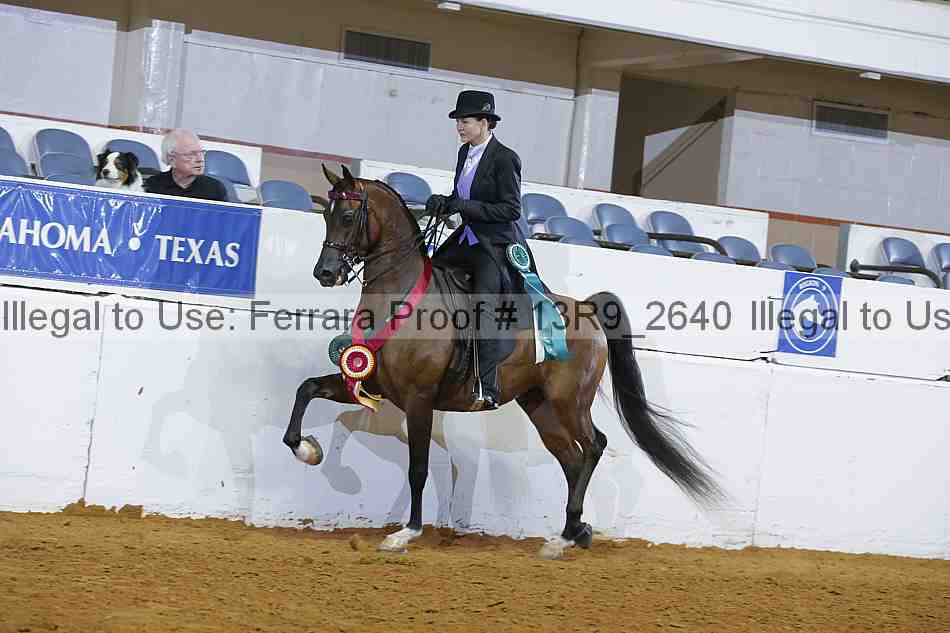 Proof 13r9_2640
