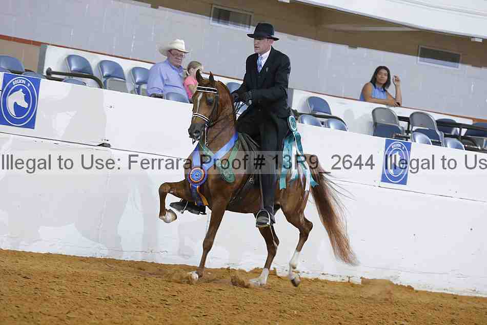 Proof 13r9_2644