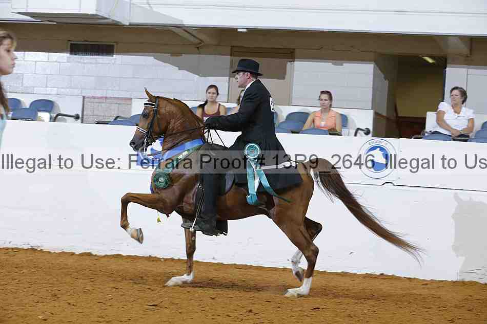 Proof 13r9_2646