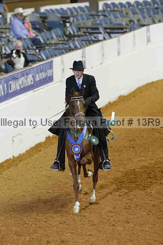 Proof 13r9_2647