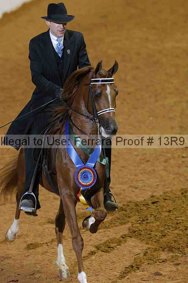 Proof 13r9_2648