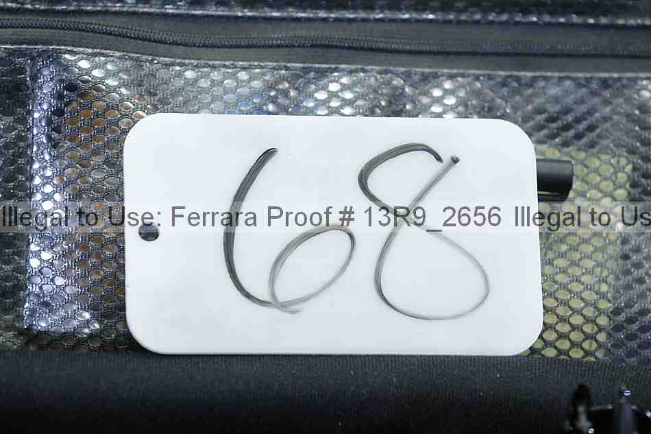 Proof 13r9_2656