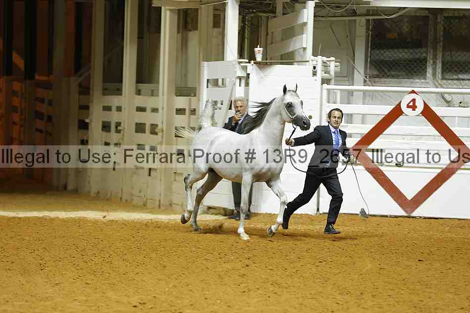 Proof 13r9_2657