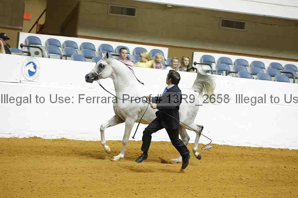 Proof 13r9_2658