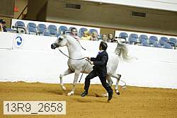 13r9_2658 proof
