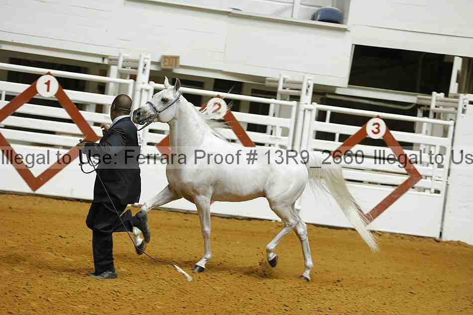 Proof 13r9_2660