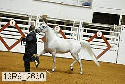 13r9_2660 proof