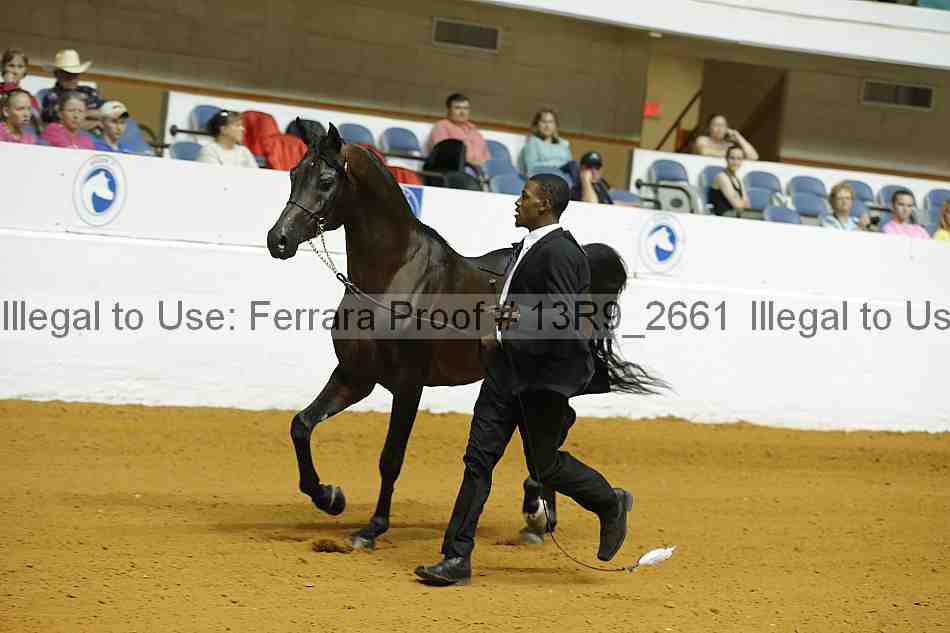 Proof 13r9_2661