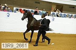 13r9_2661 proof