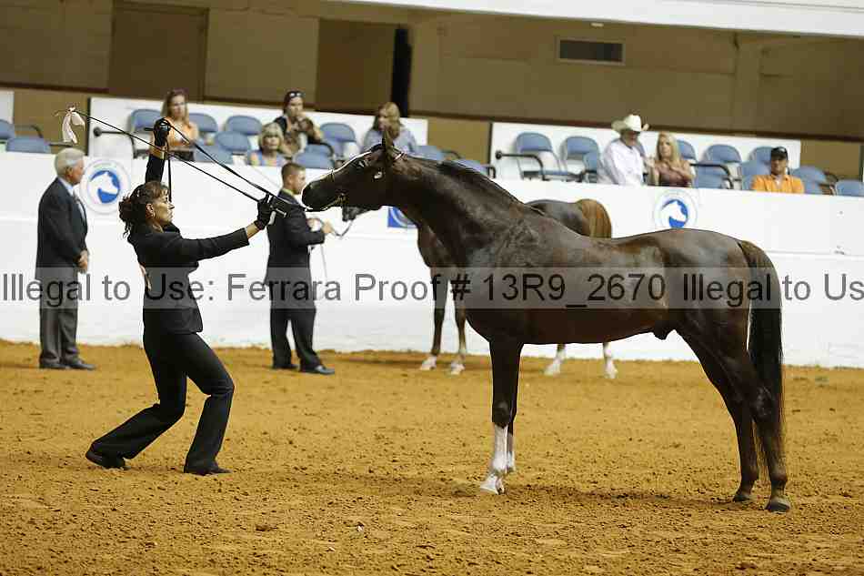 Proof 13r9_2670