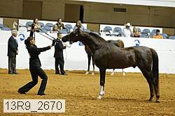 13r9_2670 proof