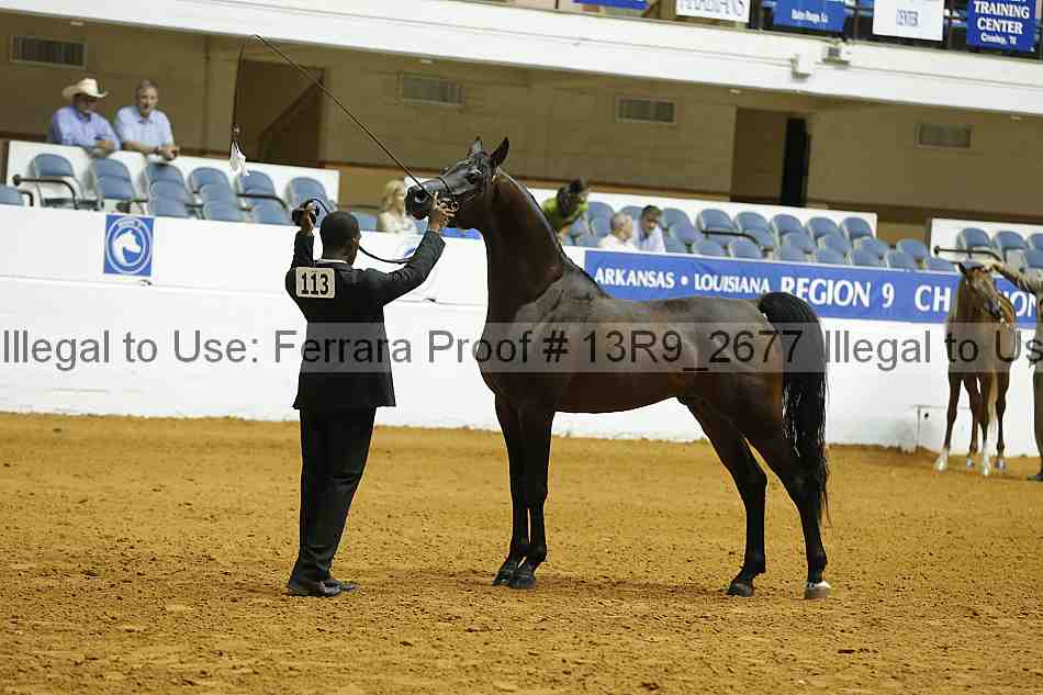 Proof 13r9_2677