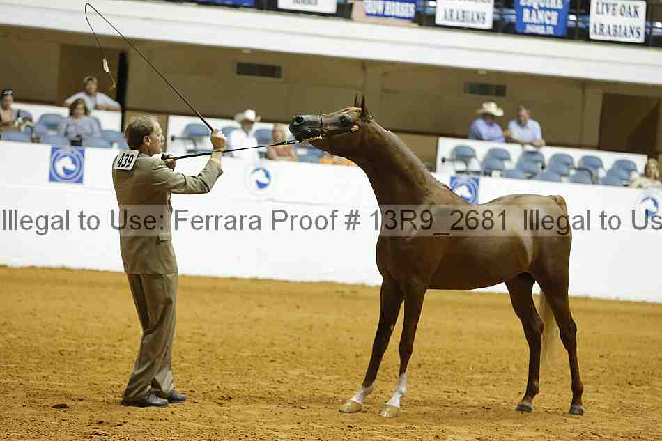 Proof 13r9_2681