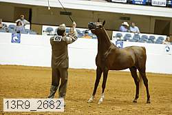 13r9_2682 proof