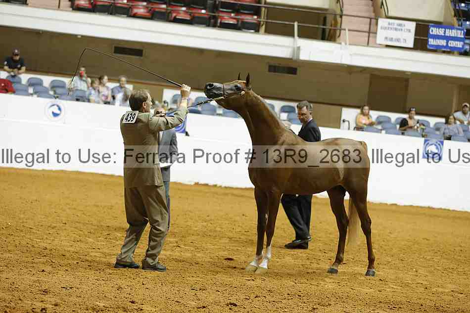 Proof 13r9_2683