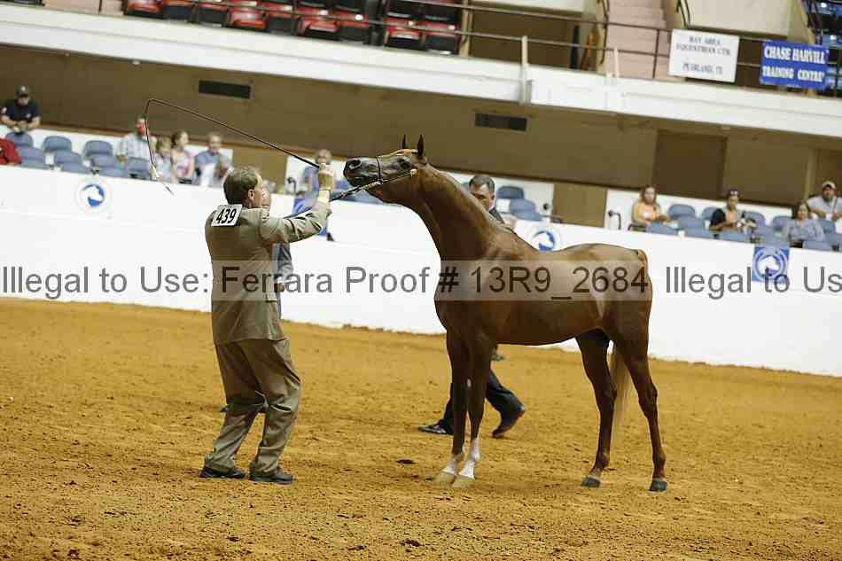 Proof 13r9_2684