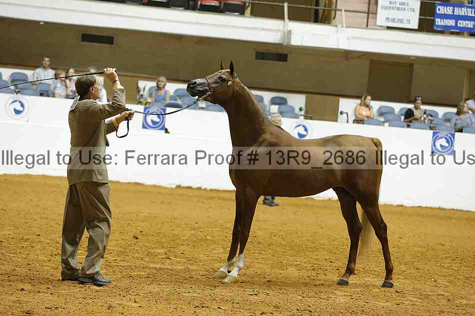 Proof 13r9_2686