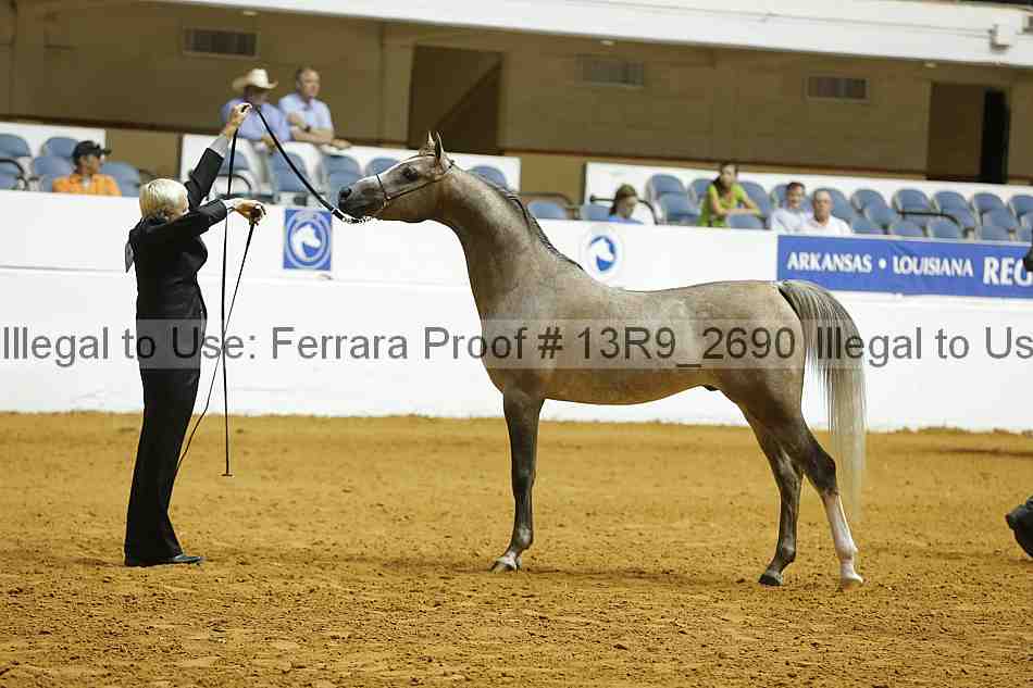 Proof 13r9_2690