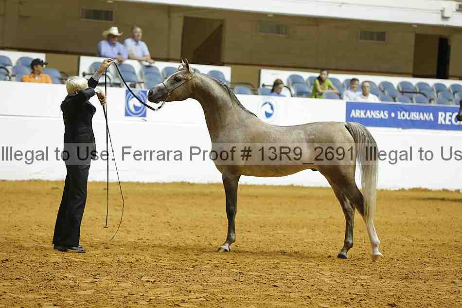 Proof 13r9_2691
