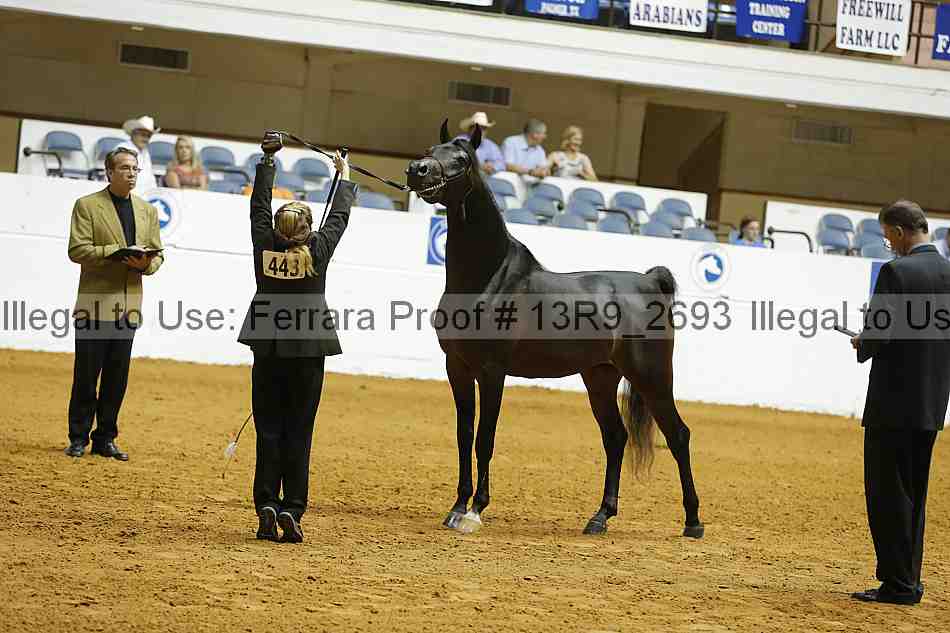 Proof 13r9_2693