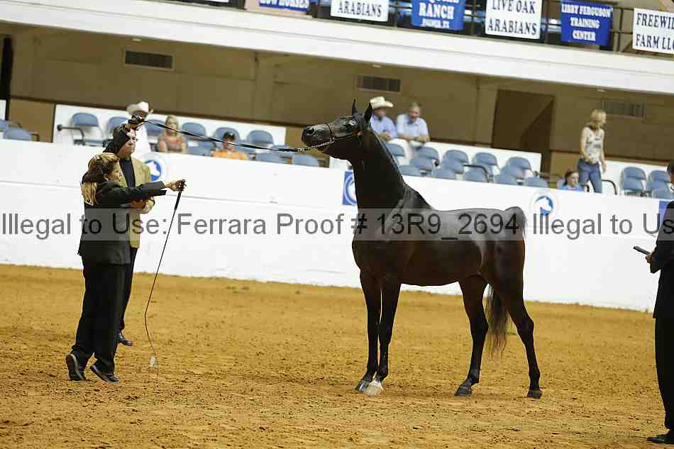 Proof 13r9_2694