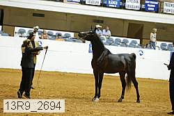 13r9_2694 proof