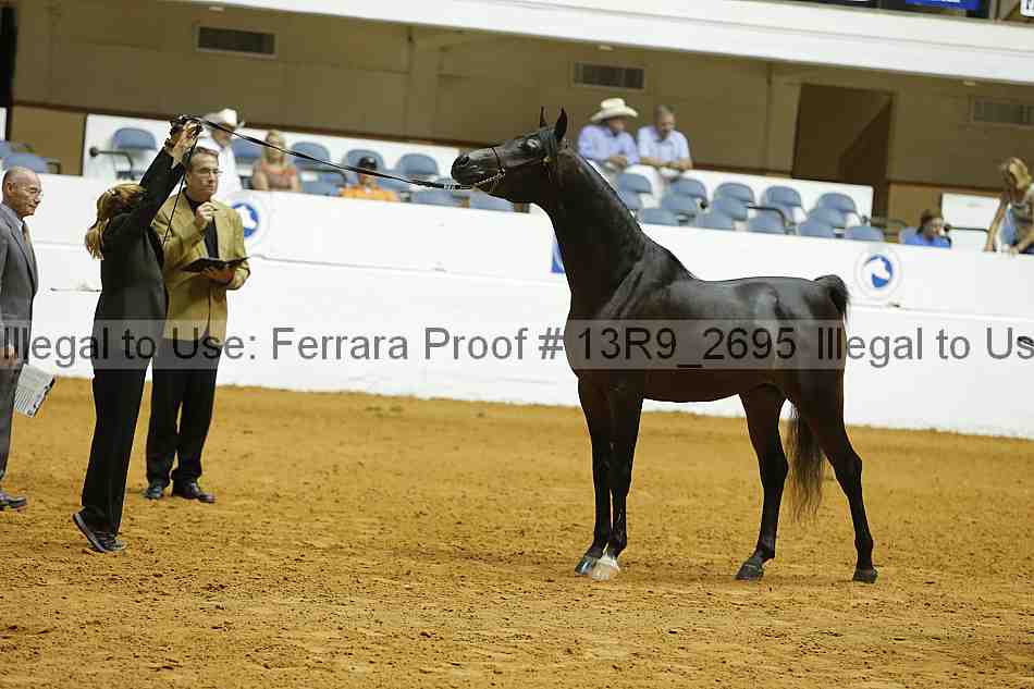 Proof 13r9_2695