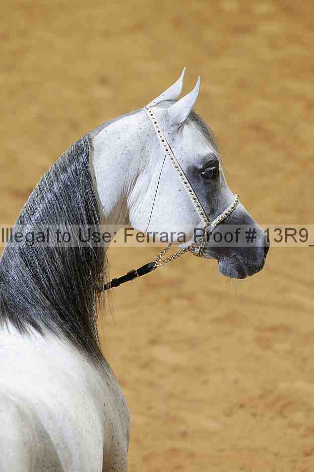 Proof 13r9_2701