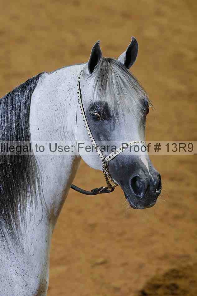 Proof 13r9_2702